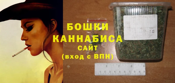 МДПВ Липки