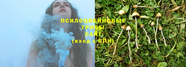 МДПВ Липки